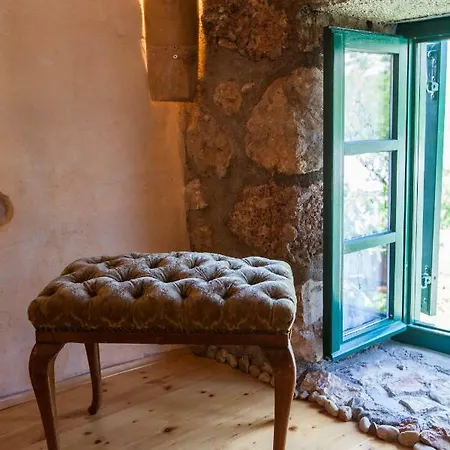 Oliva Bribir (Primorje-Gorski Kotar)