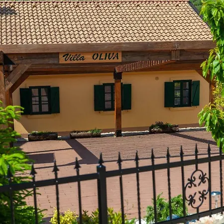 Oliva Bribir Bribir (Primorje-Gorski Kotar)