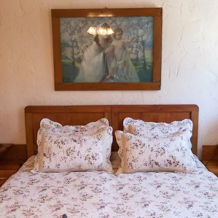 Villa Oliva Bribir *