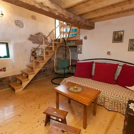 Oliva Bribir (Primorje-Gorski Kotar)