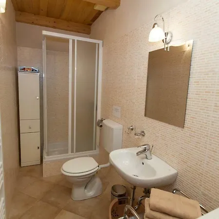 Oliva Vila *