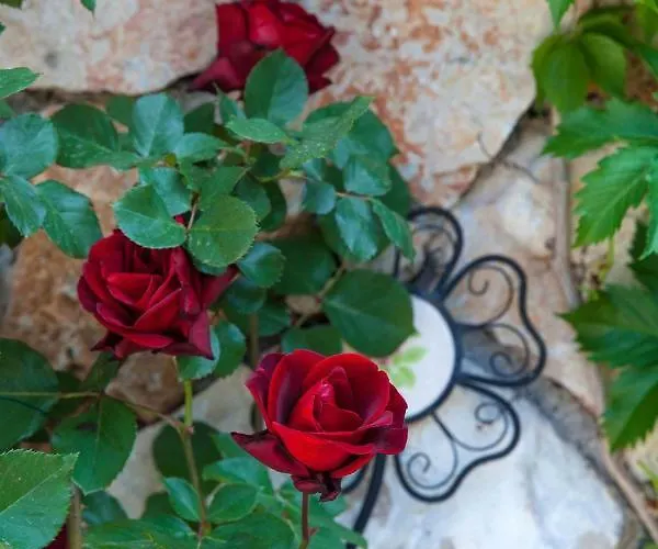 Βίλα Oliva Bribir (Primorje-Gorski Kotar)